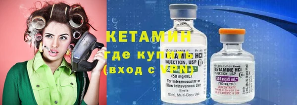 прущие грибы Рославль
