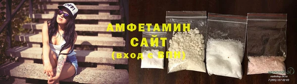 прущие грибы Рославль