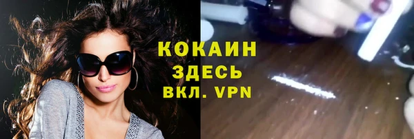 мдпв Снежногорск