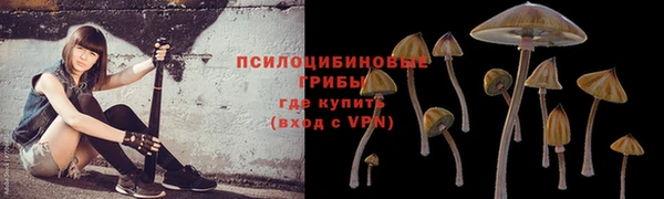 альфа пвп Медвежьегорск