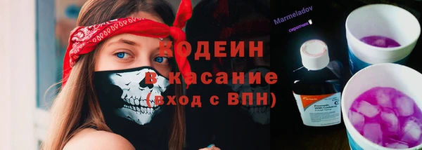 дживик Россошь