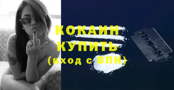 гидра Тавда