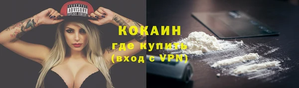 дживик Россошь