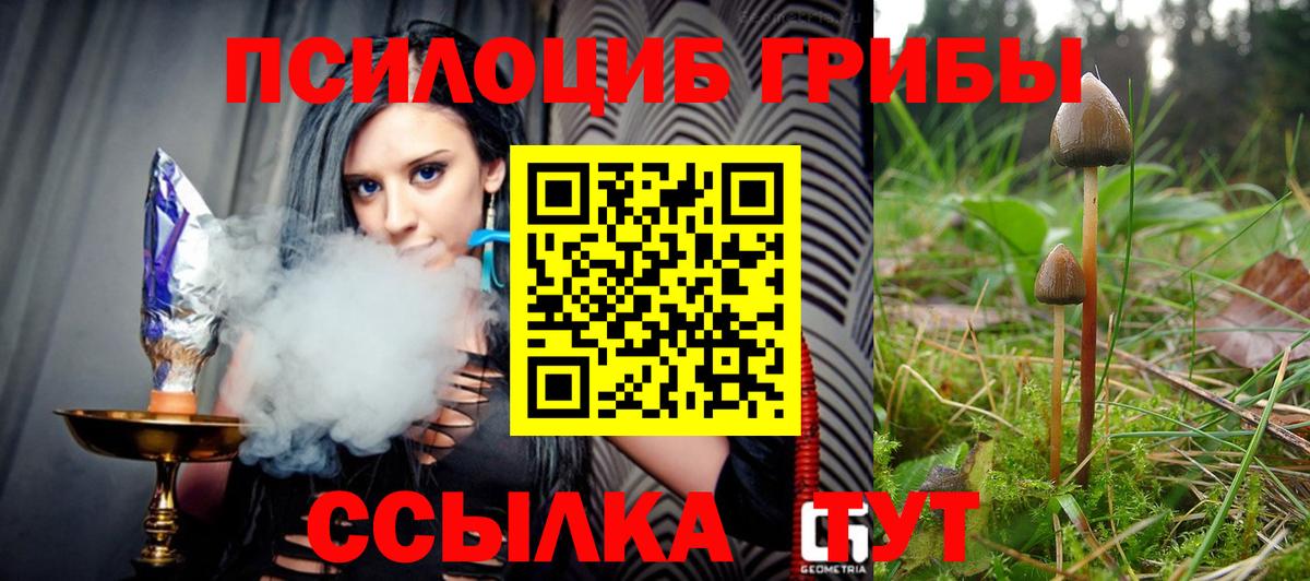 Тейково  Псилоцибиновые грибы GOLDEN TEACHER  Псилоцибиновые грибы ЛСД  Вход с VPN 