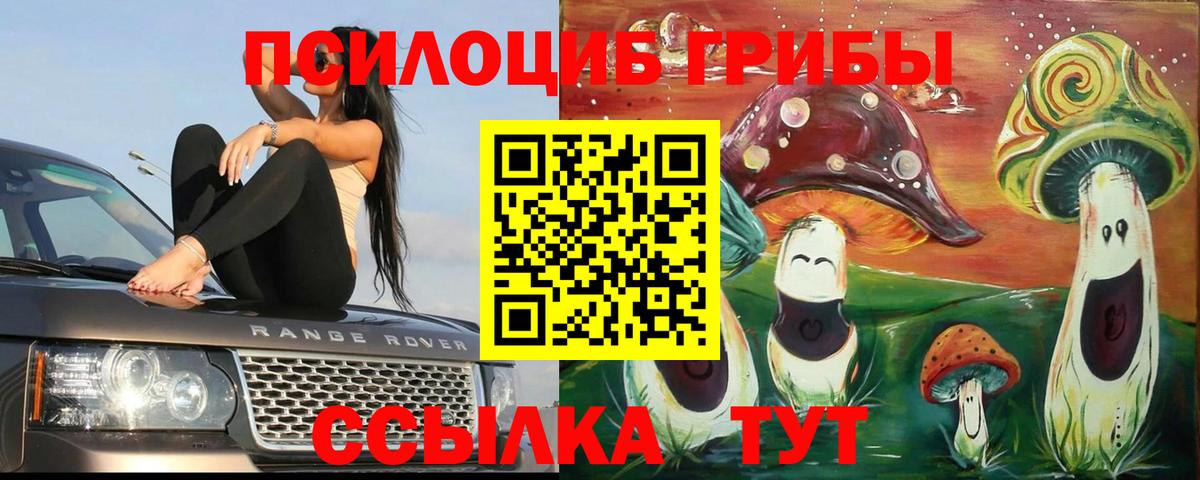 Псилоцибиновые грибы мухоморы Тейково